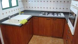 Signature Park (D21), Condominium #432381321